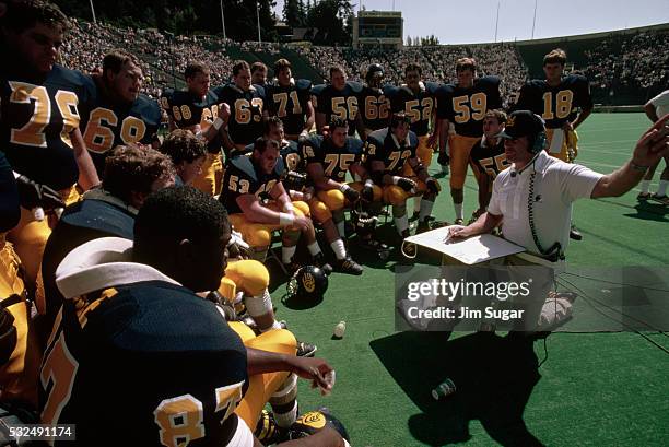 coach instructing football players during game - adult sports league stock pictures, royalty-free photos & images