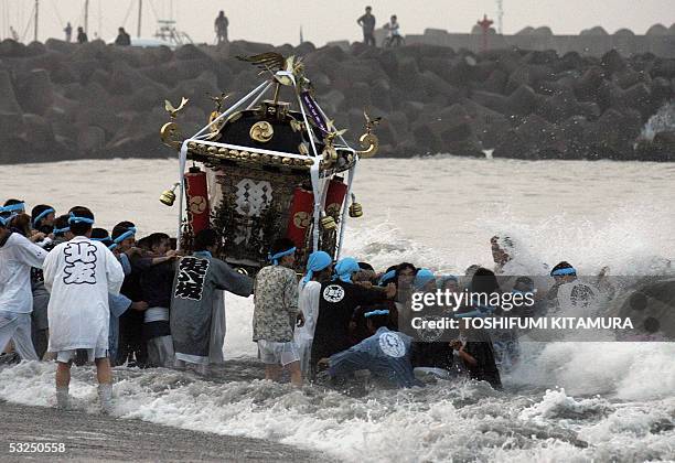 Local residents carry the portable shrine into the sea to purify them in the morning sunshine during the annual Hamaori 'going down to the beach',...