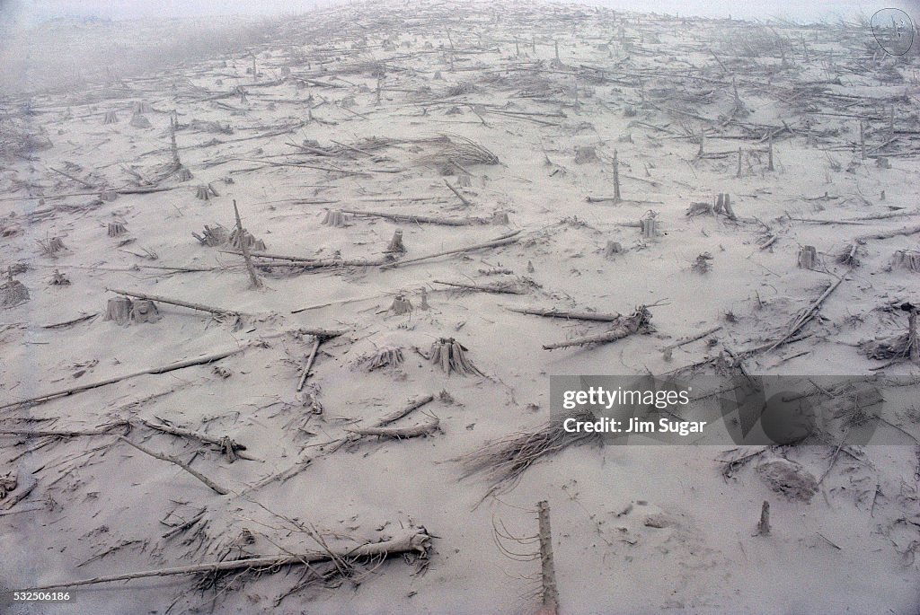 Forest Destroyed from Volcanic Eruption