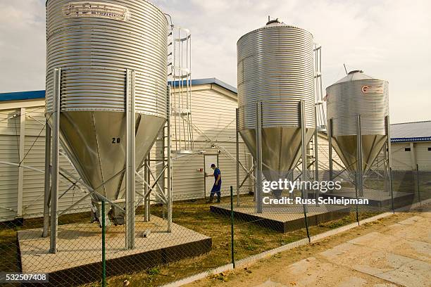 feed bins at hog barns - hog farm stockfoto's en -beelden