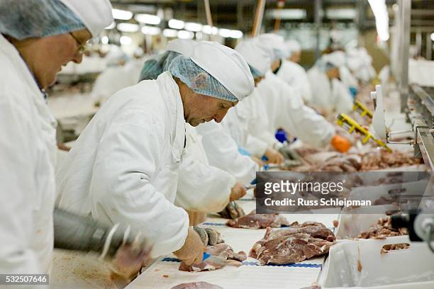 workers cutting meat at slaughterhouse assembly line - meat factory stock pictures, royalty-free photos & images