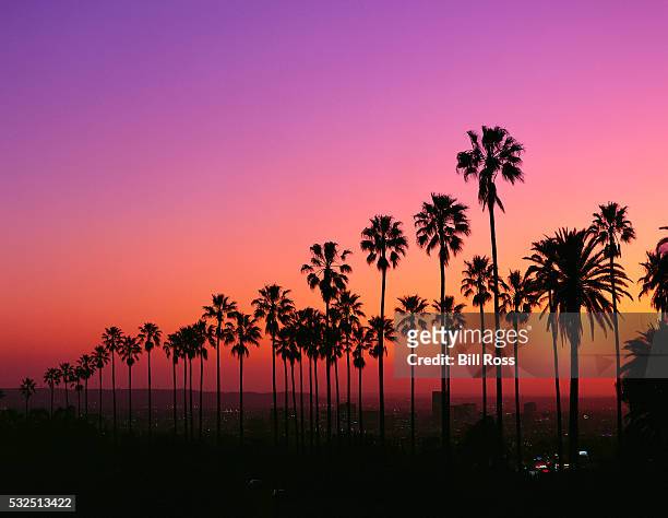 los angeles at twilight - kalifornien stock-fotos und bilder