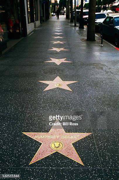 hollywood's walk of fame - walk of fame stock pictures, royalty-free photos & images