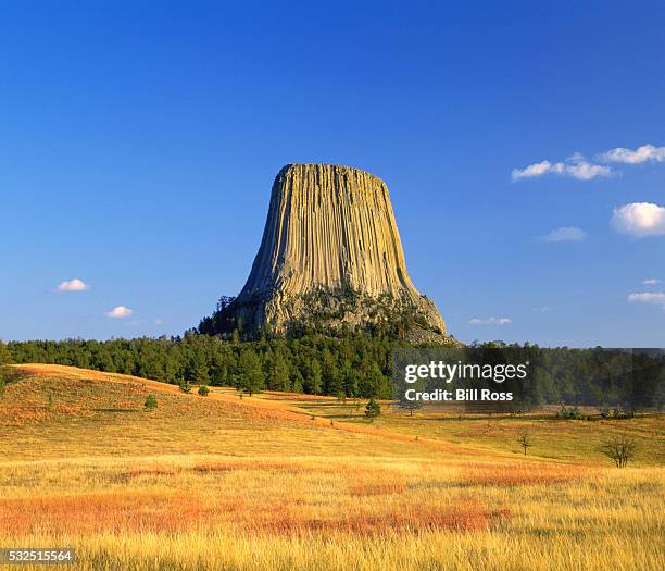 devils tower in autumn - devils tower stock pictures, royalty-free photos & images