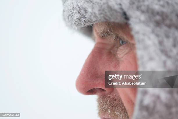 portrait of pensive mauntain senior man, snowing, julian alps, europe - face snow stockfoto's en -beelden