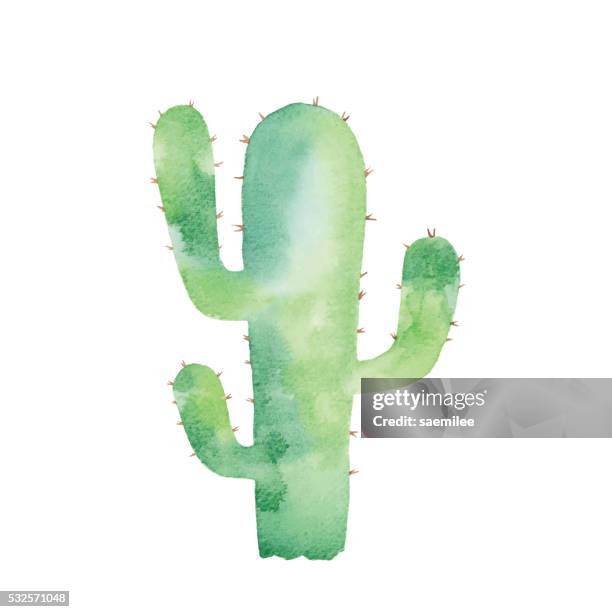 aquarell-kaktus - kaktus stock-grafiken, -clipart, -cartoons und -symbole