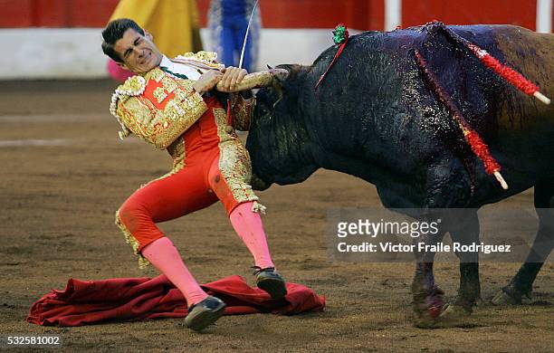 Spanish matador Francisco Marco gets tackled by a bull during the "Santiago" bullfighting fair in the northern Spanish town of Santander July 29,...