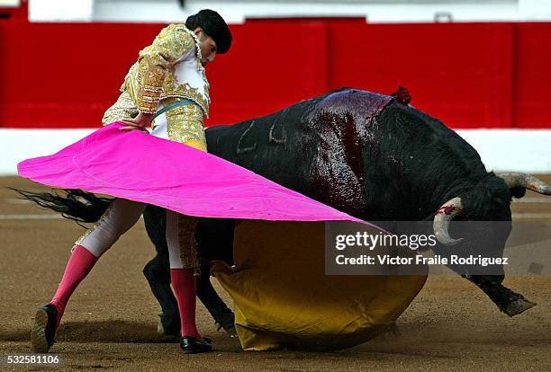 Spanish matador Matias Tejela performs a pass during the 'Santiago' bullfighting fair in the northern Spanish town of Santander July 23, 2005. Photo...