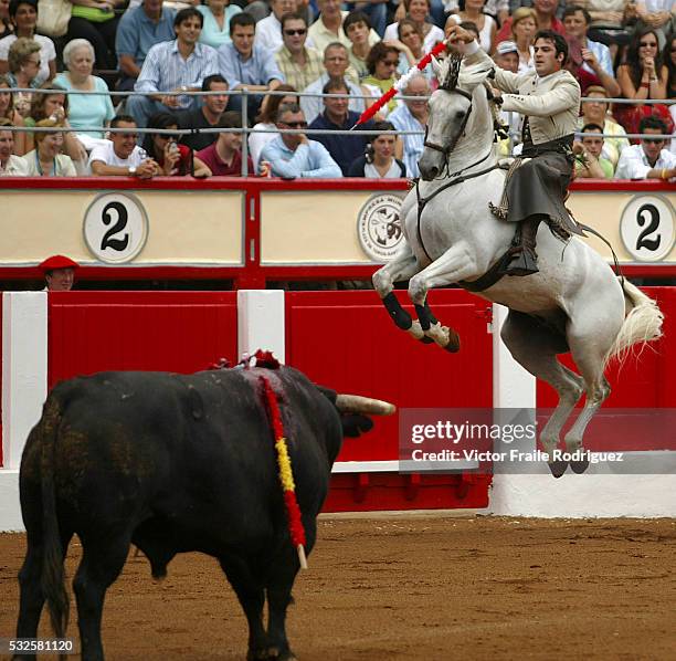 Spanish 'rejoneador' Alvaro Montes jumps with his horse in front a bull during the 'Santiago' bullfighting fair in the northern Spanish town of...