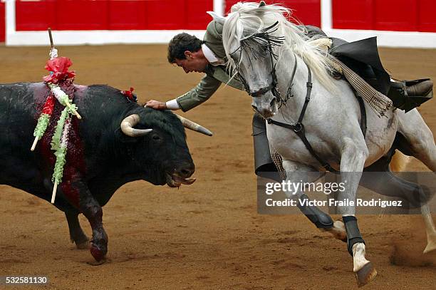 Spanish 'rejoneador' Andy Cartagena rides in front of a bull during the 'Santiago' bullfighting fair in the northern Spanish town of Santander July...