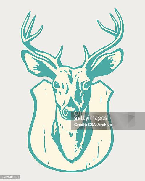 mounted deer head - stag stock illustrations