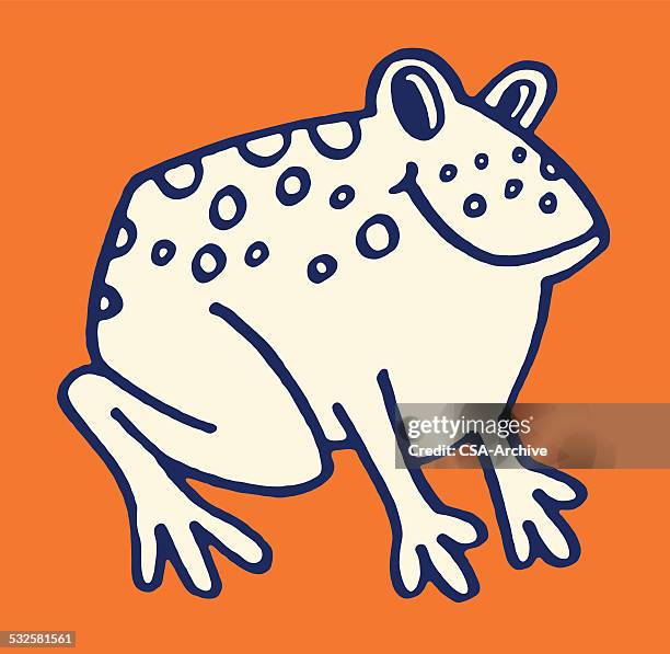 toad - bufo toad stock illustrations