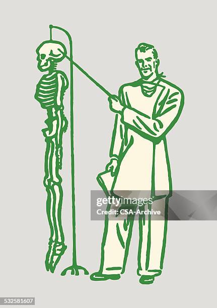 doctor teaching about skeleton - doctor teaching stock illustrations