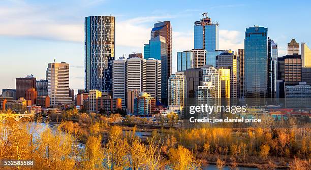 golden light, calgary, skyline, alberta, canada - canada skyline stock pictures, royalty-free photos & images