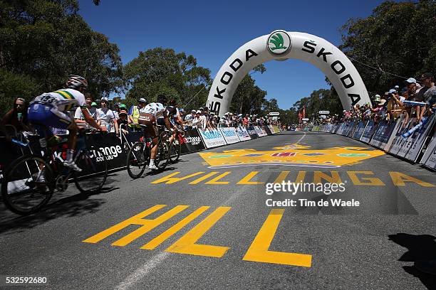 16th Tour Down Under 2014/ Stage 5 Ilustration Ilustratie/ Publik Spectators/ McLaren Vale - Willunga Hill TDU/ Etape Rit Ronde Tim De Waele