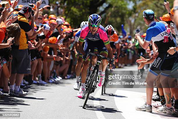 16th Tour Down Under 2014/ Stage 5 Diego ULISSI / Publik Spectators/ Fans Supporters/ McLaren Vale - Willunga Hill TDU/ Etape Rit Ronde Tim De Waele