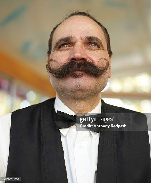 man with a big mustache - bigode imagens e fotografias de stock