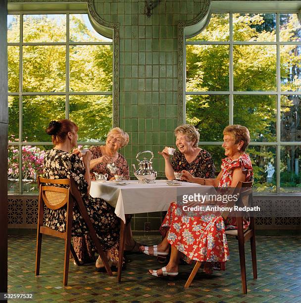 elderly women having tea - tea party stock pictures, royalty-free photos & images
