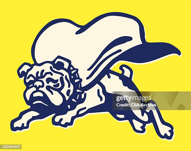 stockillustraties, clipart, cartoons en iconen met flying bulldog in cape - huisdierenkleding