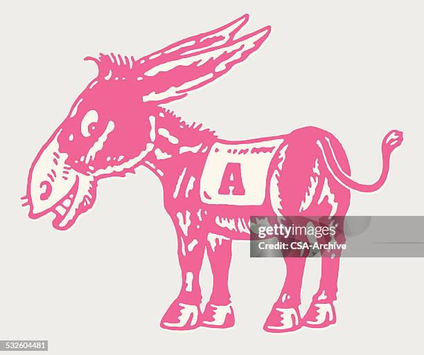 donkey with a blanket - donkey stock illustrations