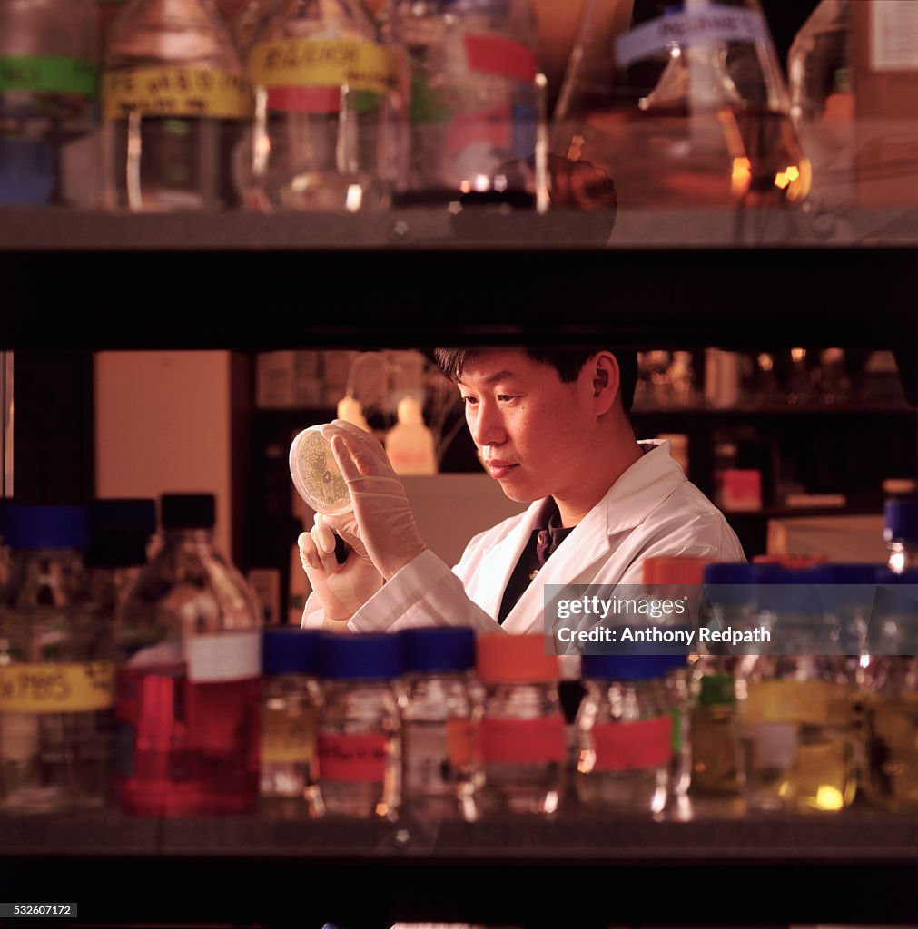 Researcher in a biochemistry lab