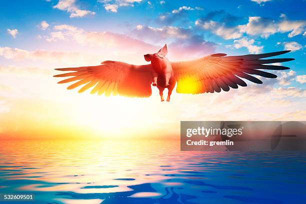 smug flying pig over the fantasy landscape - pig water stock pictures, royalty-free photos & images