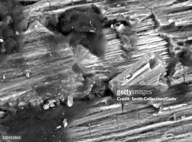 Scanning electron microscope micrograph depicting iron oxide induced metal fatigue on a snapped portion of a steel machine spring, at a magnification...