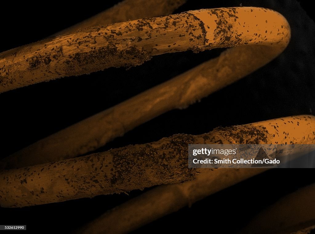 Colorized scanning electron microscope micrograph depicting a rusted ...