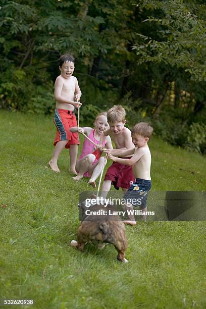 four children and bulldog playing with rope outdoors - dog dragging stock pictures, royalty-free photos & images