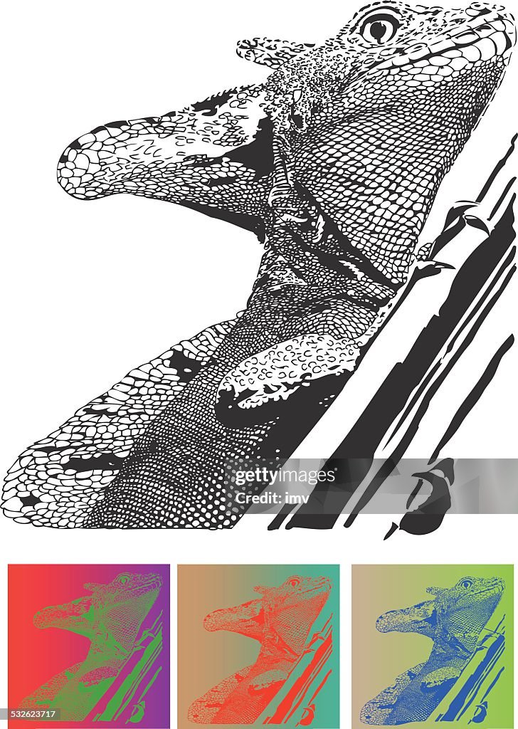 Basiliscus on tree illustration
