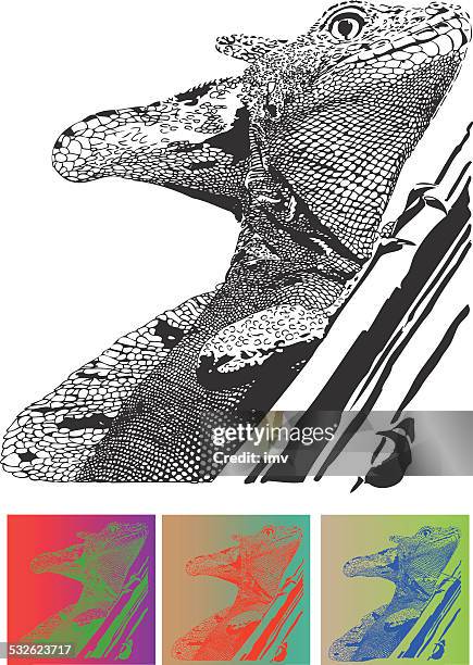basiliscus on tree illustration - basilisk stock illustrations