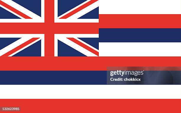 hawaii state flag - hawaii flag 幅插畫檔、美工圖案、卡通及圖標