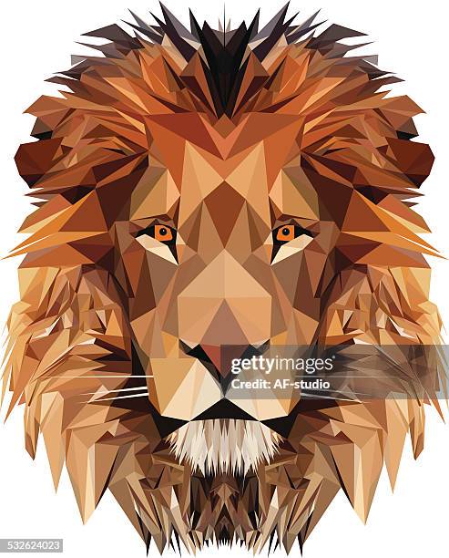 illustrazioni stock, clip art, cartoni animati e icone di tendenza di testa di leone - lion