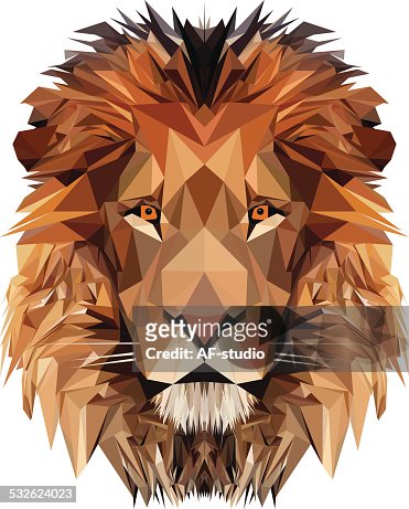 2,685 Geometric Lion Photos and Premium High Res Pictures - Getty Images
