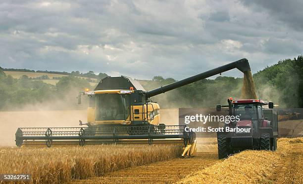 Combine harvester works its way through a field of barley in the chalk downlands, July 19, 2005 south of Salisbury, England. The future shape of...