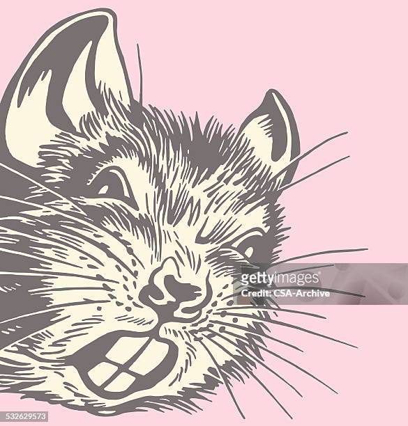 ilustraciones, imágenes clip art, dibujos animados e iconos de stock de en rata - gerbo