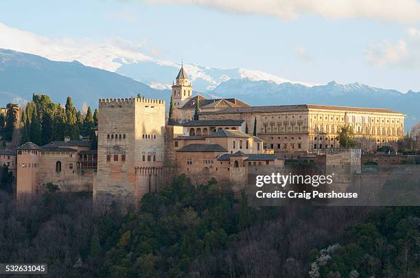 the alhambra and snowcapped sierra nevadas - alhambra foto e immagini stock