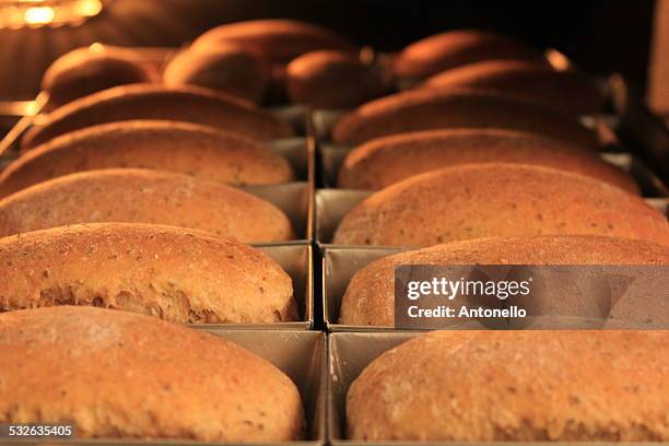 brown bread - santa maria - rio grande do sul stock pictures, royalty-free photos & images