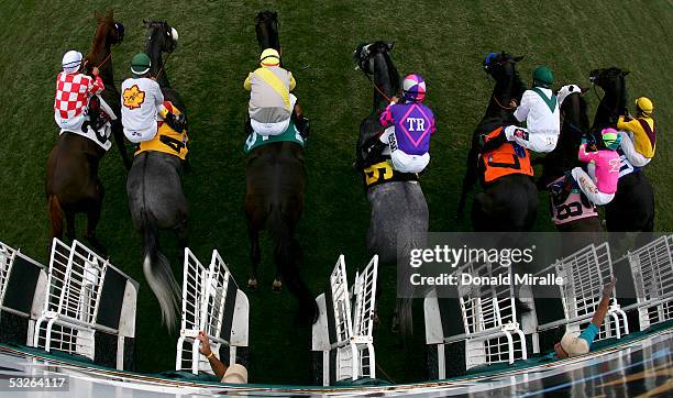 The horses break at the gate at the start of the 59th Running of the Oceanside Stakes during Opening Day at the Del Mar Thoroughbred Club on July 20,...