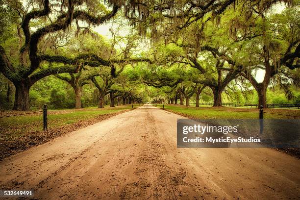 run forest run - antebellum stock pictures, royalty-free photos & images