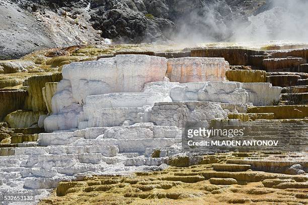 View of the Mammoth Hot Springs at Yellowstone National Park on May 12, 2016. Yellowstone, the first National Park in the US and widely held to be...