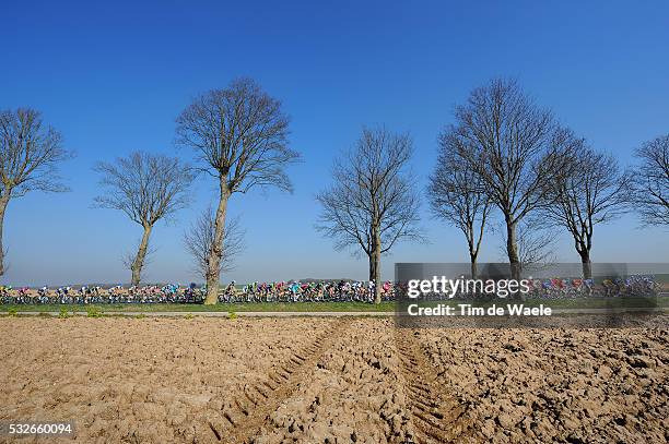 72th Paris - Nice 2014 / Stage 2 Illustration Illustratie / Peleton Peloton / Forest Bois Bos Field Champ Veld / Landscape Paysage Landschap /...