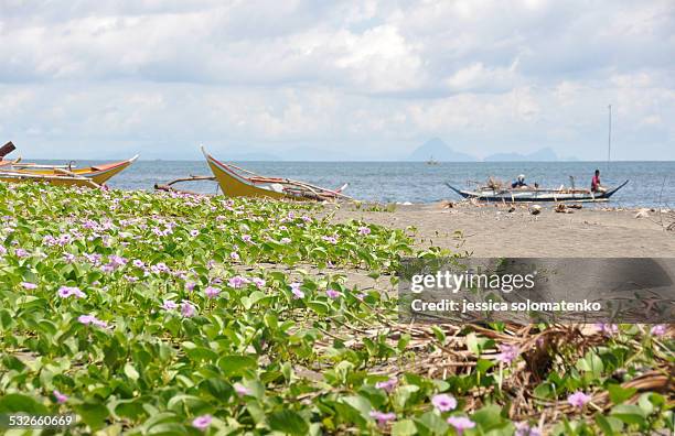 fishing boats preparing to leave - negros occidental stock pictures, royalty-free photos & images