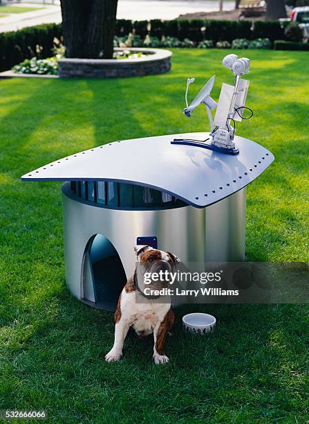 english bulldog puppy with futuristic doghouse - luxury dog house stock pictures, royalty-free photos & images