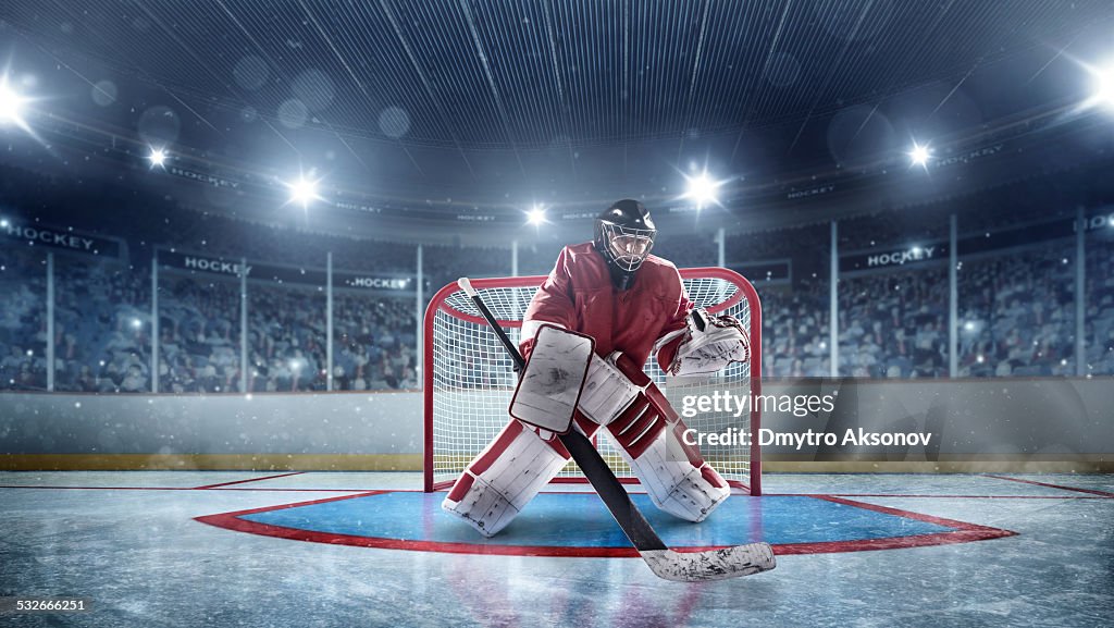 Ice Hockey Goalie