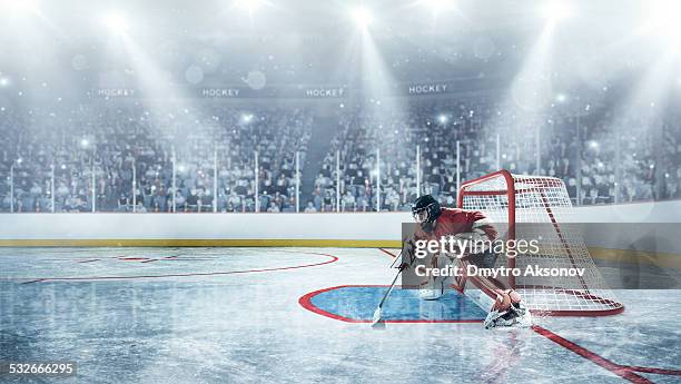 in difesa giocatori di hockey su ghiaccio - portiere giocatore di hockey su ghiaccio foto e immagini stock