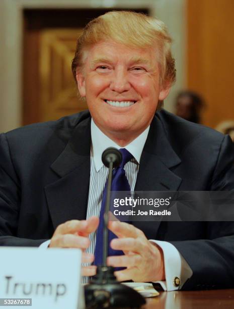 Donald Trump, president of the Trump Organization, testifies before the Federal Financial Management, Government Information, and International...