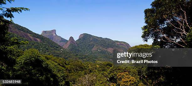 Pedra da Gavea mountain seen from The Tijuca Forest , a mountainous hand-planted rainforest in the city of Rio de Janeiro, Brazil - it is an UNESCO...