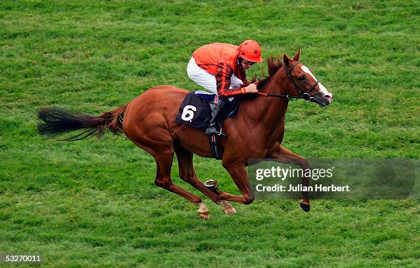 Ted Durcan and Silca's Sister land The London Clubs Maiden Fillies Stakes Race run at Newbury Racecourse on July 22, 2005 in Newbury, England.