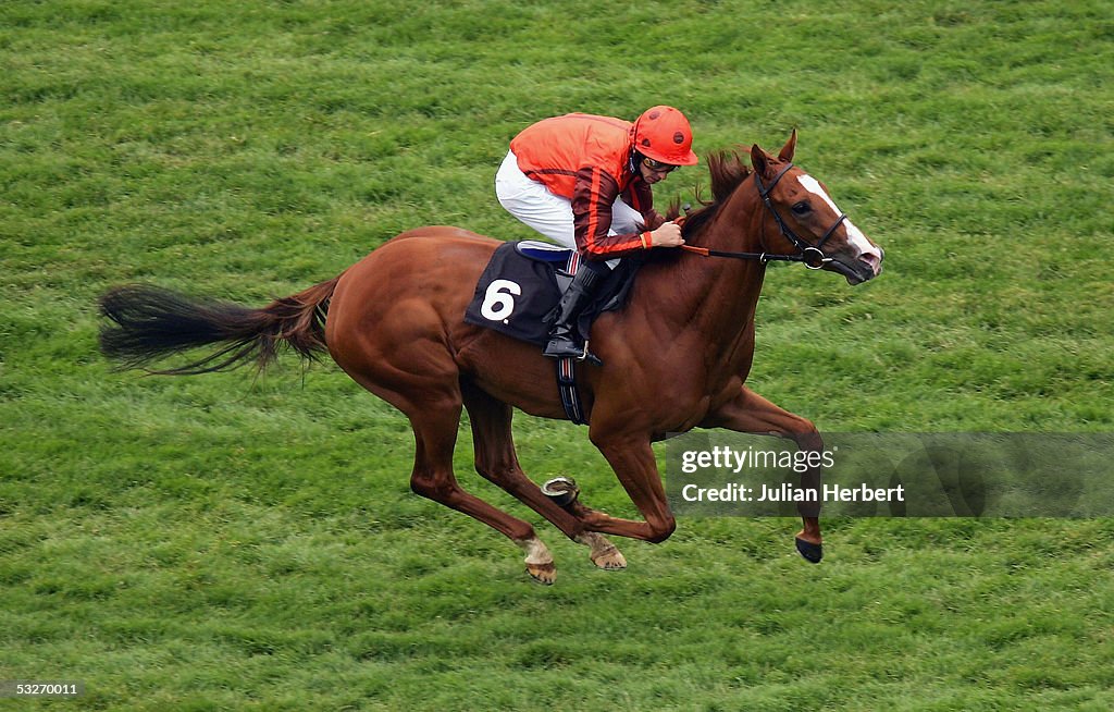 The London Clubs Maiden Fillies Stakes